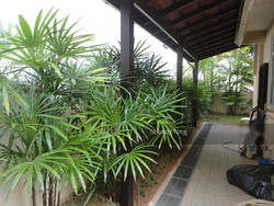 Chuan Seven (D19), Detached #202552262